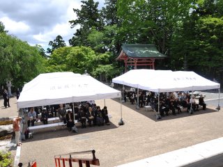 参加するしゃくなげ会会員 写真:参加するしゃくなげ会会員