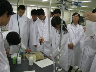 実習の様子 写真:実習の様子
