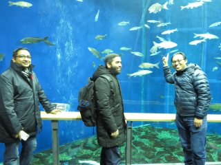 Aquarium at Biwako Museum