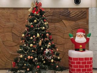 写真：病院玄関陶壁前のクリスマスツリー
