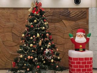 病院玄関陶壁前のクリスマスツリー 写真:病院玄関陶壁前のクリスマスツリー