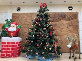 写真：病院正面玄関陶壁前のクリスマスツリー