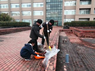 中庭のゴミ拾いに合わせ、落葉の回収を行う学生グループ 中庭のゴミ拾いに合わせ、落葉の回収を行う学生グループ