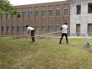 5.伐採された竹の運搬