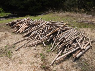 6.切断された竹