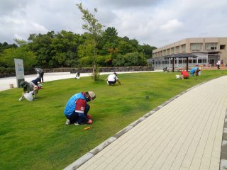 中庭での除草