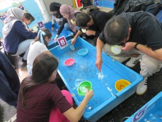 金魚すくい道場