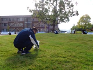 中庭「さざなみガーデン」での除草