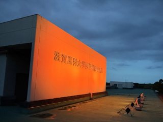 ライトアップの様子２