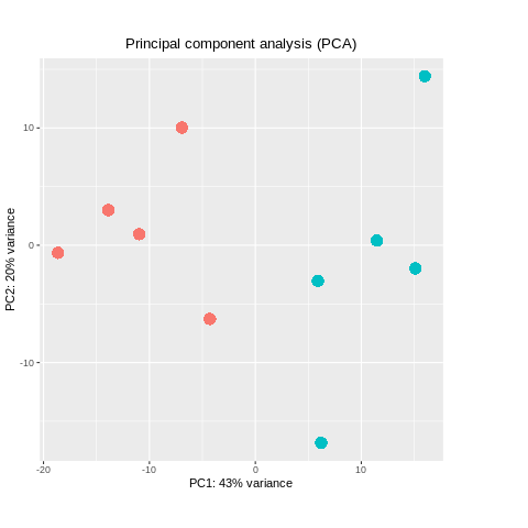 Bulk RNA-seq PCA