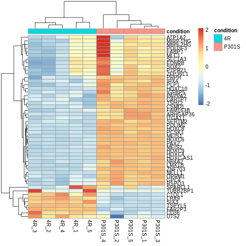 Bulk RNA-seq クラスタリングヒートマップ