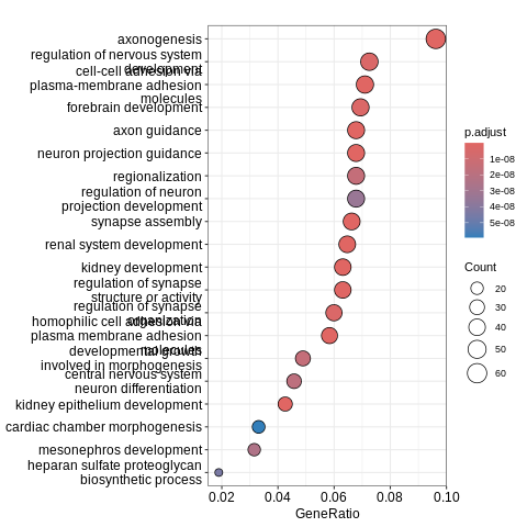 Bulk RNA-seq エンリッチメント解析