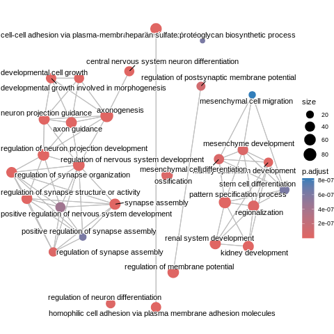 Bulk RNA-seq エンリッチメントマップ
