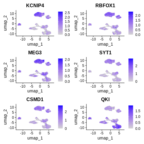single-cell RNA-seq 遺伝子発現量マッピング