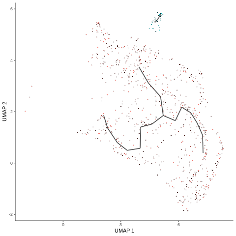 single-cell RNA-seq Trajectory解析（monocle3）