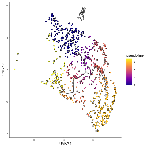 single-cell RNA-seq Pseudotime解析（monocle3）
